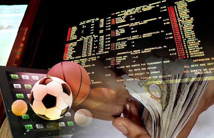 Explore the Features of Betwinner Your Ultimate Betting Guide